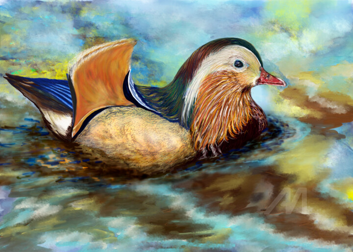 Mandarin Duck on Water 数字艺术