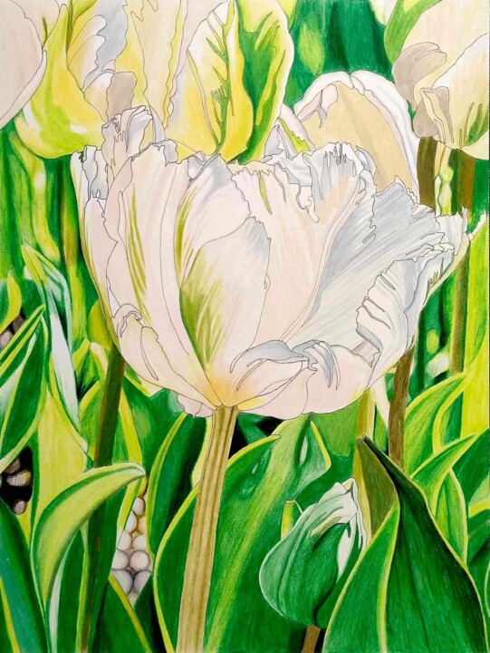 Tulip field Disegno, 15,8x11,8 in