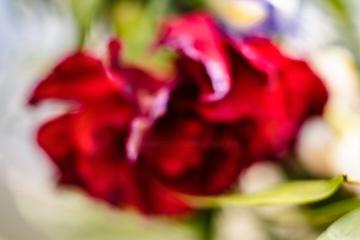 Photographie intitulée "Rose of June" par Kalervo Karlsson (DONK), Œuvre d'art originale, Pigments