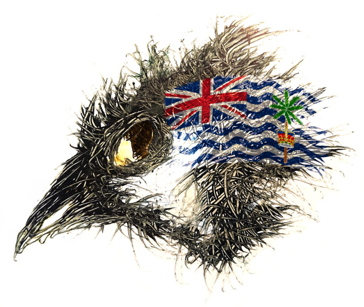 Pandemi Bird Brittiska-Territoriet-in-Indiska-Oceanen 数字艺术
