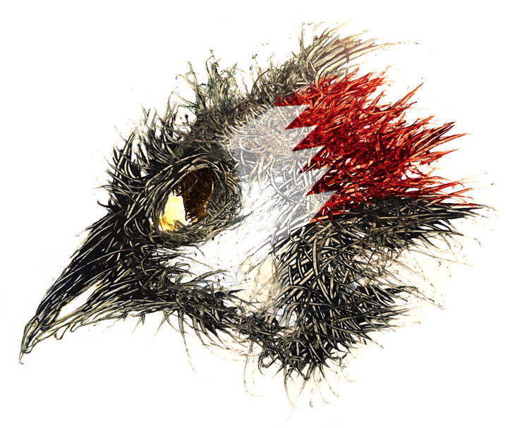Pandemi Bird Bahrain 数字艺术