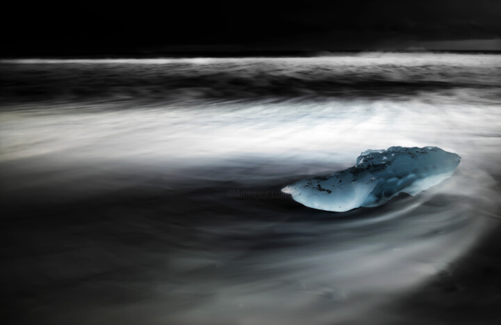 "The squid" Fotografie