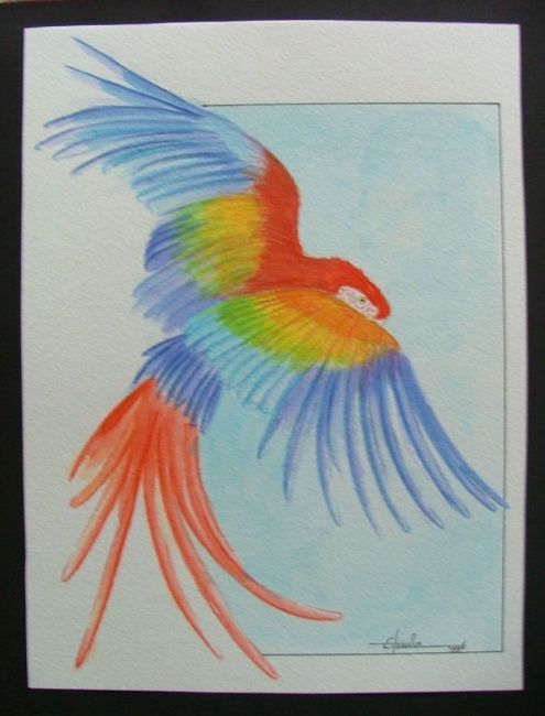 Dessin intitulée "Ara macao" par Eric Thauvin, Œuvre d'art originale