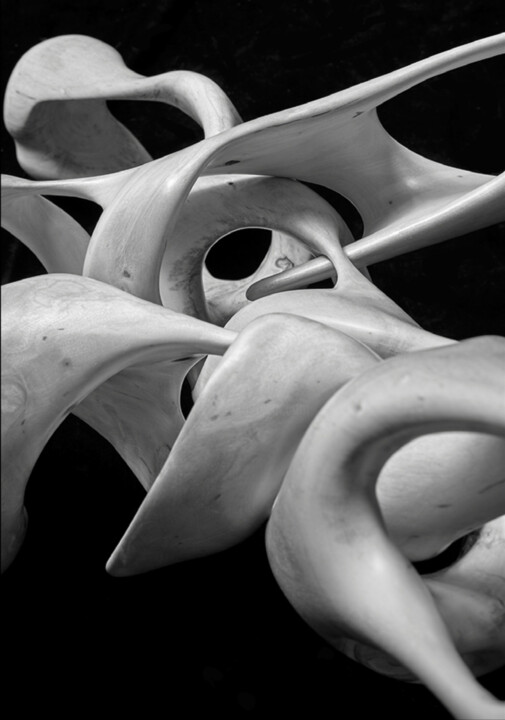 WHITE BUSH - MOVEMENT 3 Fotografia, 59,1x39,4 in