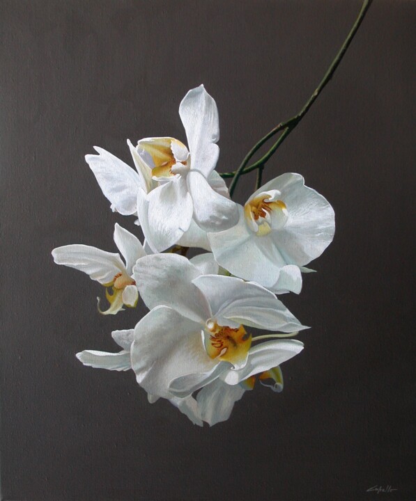 Painting titled "PHALENOPSIS" by Francesco Capello, Original Artwork, Oil Mounted on Wood Stretcher frame