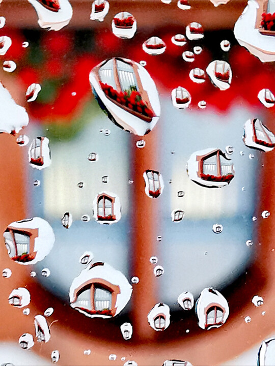Geraniums Window 摄影, 23.6x15.8 in