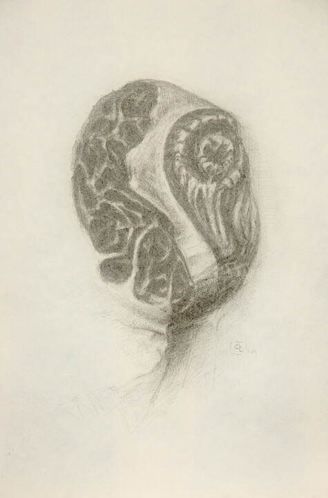 Creepy Buddies sketch #1 图画, 11.6x7.7 in