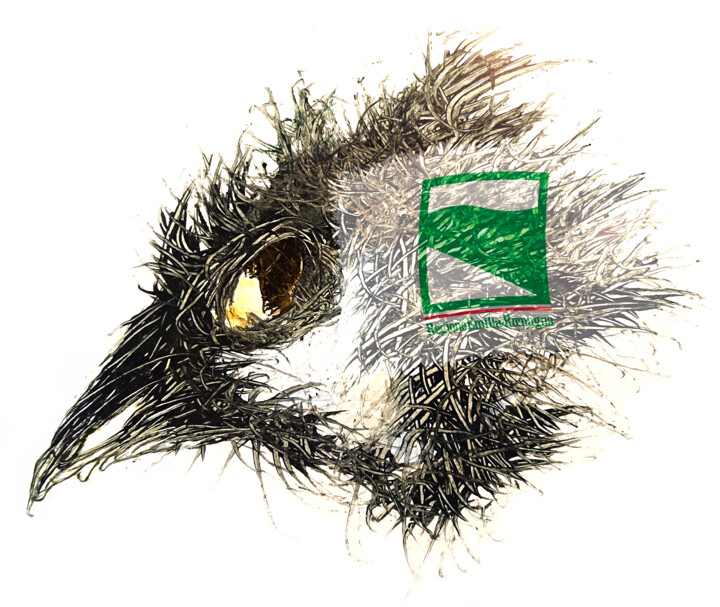 Pandemi Bird Emilia-Romagna 数字艺术