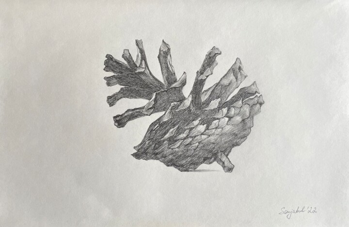 Pinecone 图画, 8.3x11.7 in