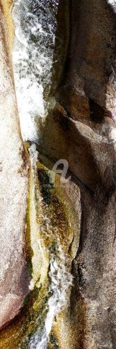 Fotografía titulada "GOLO TWO" por Bigwood H., Obra de arte original, Fotografía no manipulada