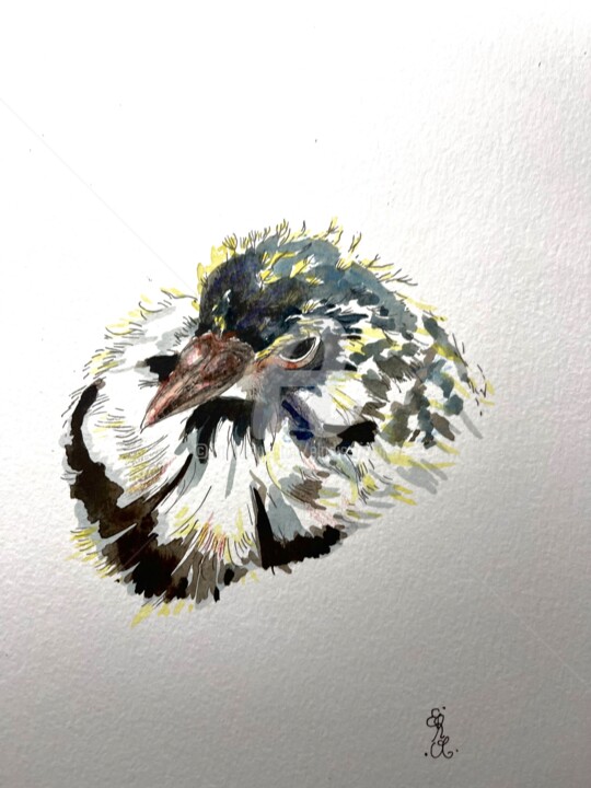 Kiki, 1 (Oslo, Norway) 绘画, 10x7 in