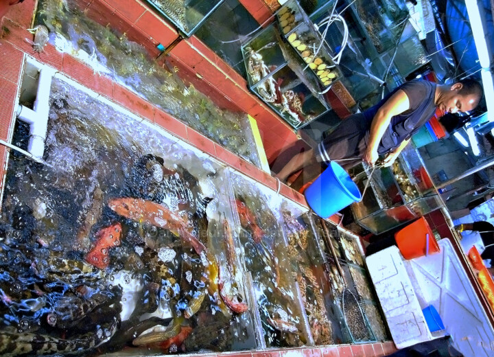 HK Island - Fresh Seafood for Sale #1 摄影