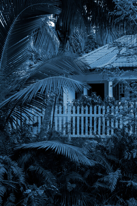 Creole blues, Praslin, 2022 Fotografia, 23,6x15,8 in