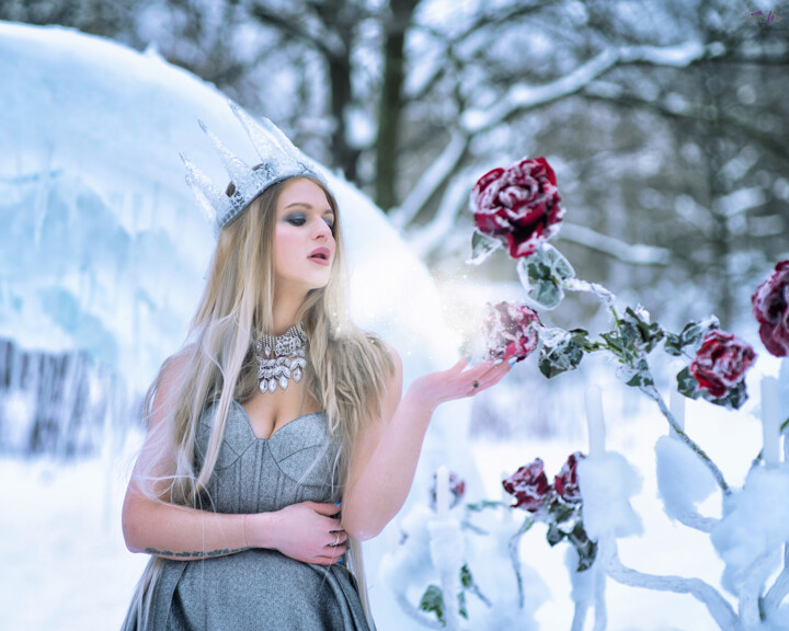 The Snow Queen 摄影, 15.8x19.7 in
