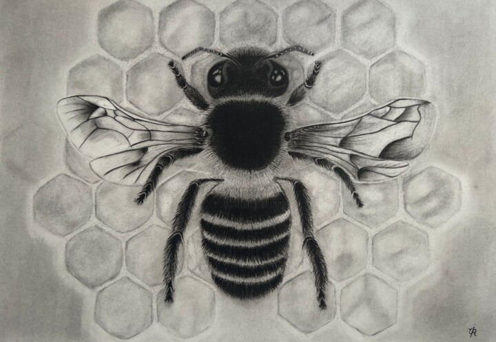Biene Leben 图画, 11.7x16.5 in