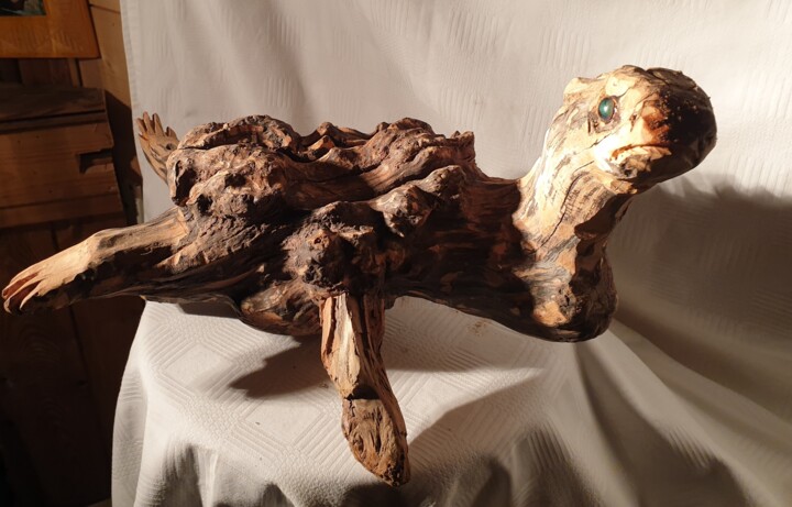 Tortue 雕塑, 9.8x16.9 in