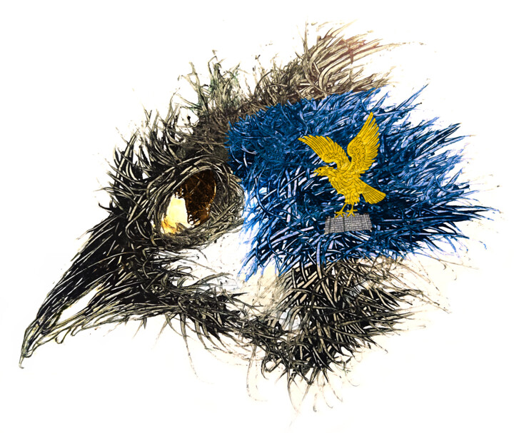 Pandemi Bird Friuli-Venezia Giulia 数字艺术