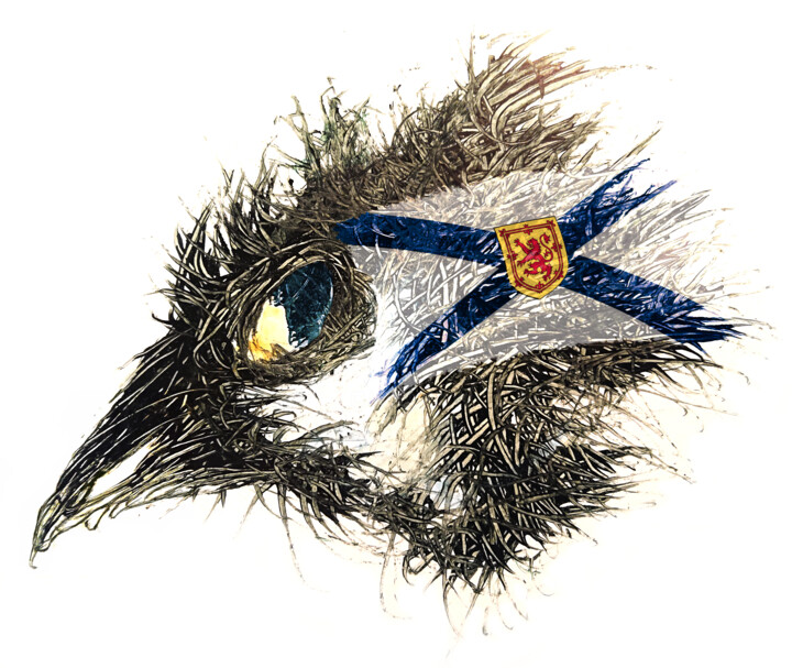 Pandemi Bird Nova Scotia 数字艺术