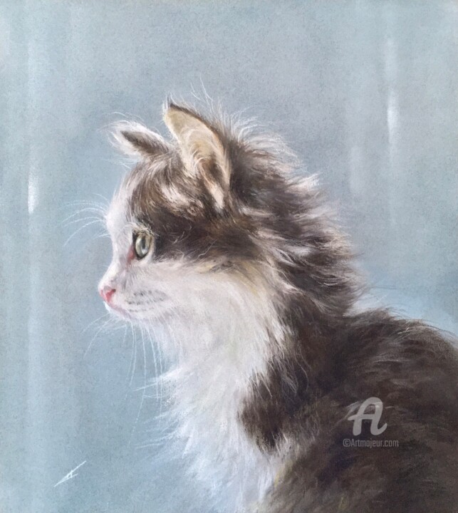 Disegno,  11x9,8 in 