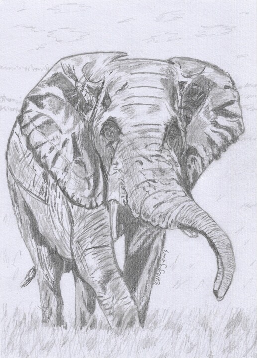 图画,  10.6x8.3 in 
