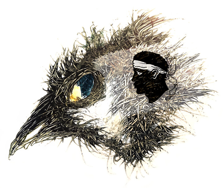 Pandemi Bird CORSE 数字艺术