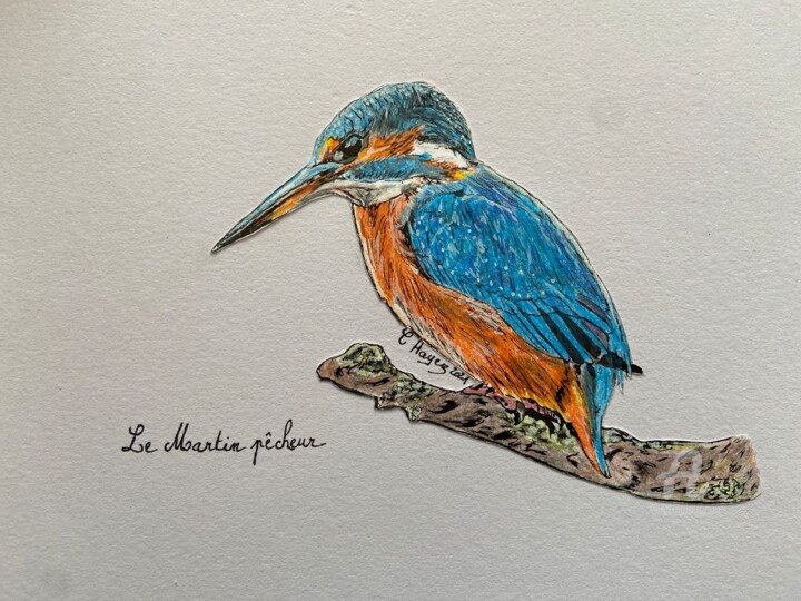 Martin pêcheur 图画, 8.3x10.8 in