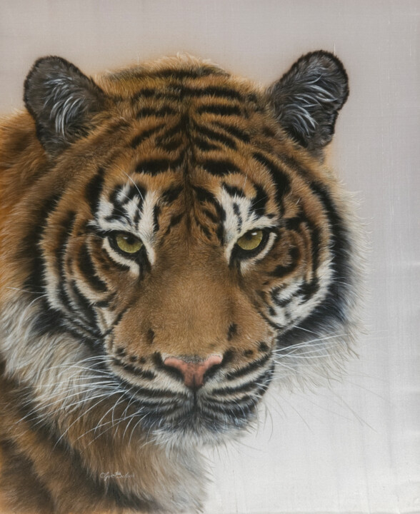 Conqueror’s gaze – hyper realistic tiger portrait painted on 绘画, 25.6x20.5 in