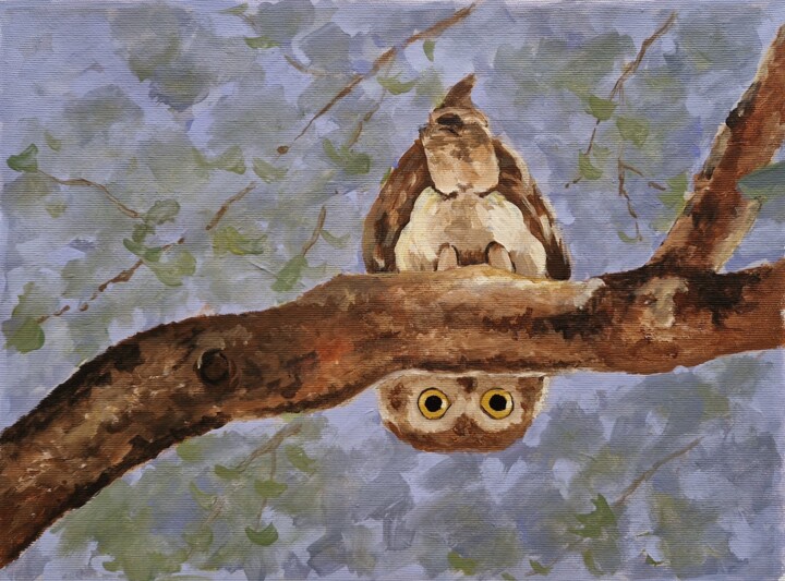 Funny owl 绘画, 11.8x15.8 in
