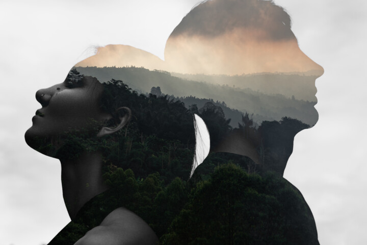 The tropics have connected us 摄影