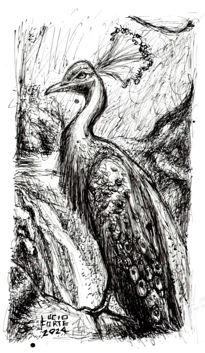 Pavone 图画, 9.7x5.9 in