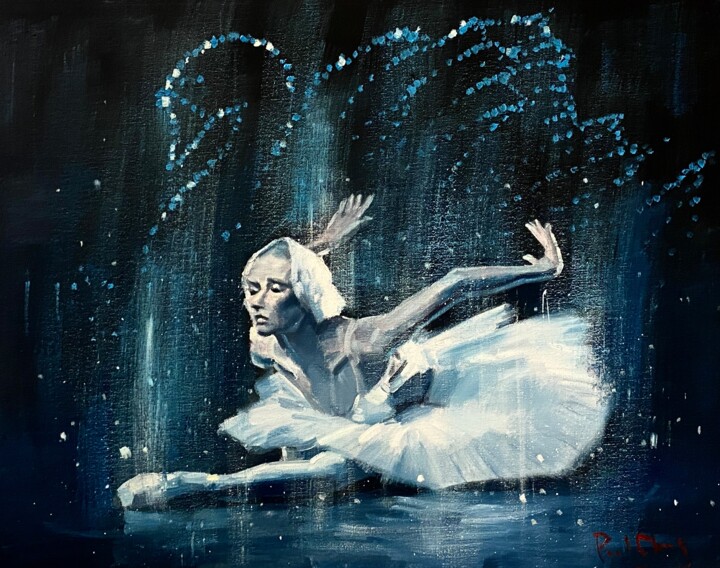 Fantastic Swan Lake Ballet No.03 绘画, 16x20 in