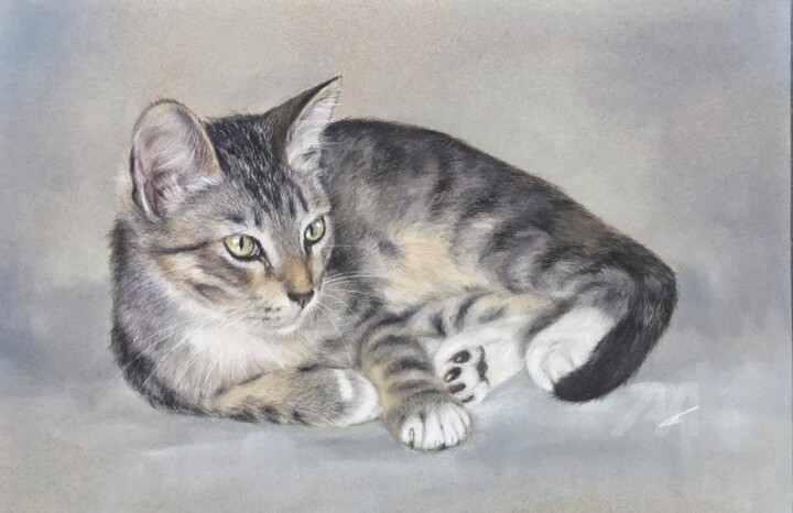 Grey cat 图画, 9.5x14.6 in