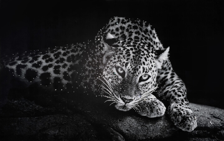 Картина панно со стразами Art Swarovski Leopard 绘画, 27.6x43.3 in