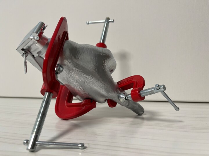 Sculpture titled "CAPTURA" by Jorge Luis Santana Pérez, Original Artwork, Resin