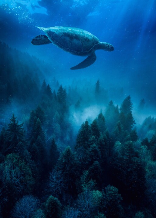Une tortue de mer nage au-dessus des arbres 数字艺术
