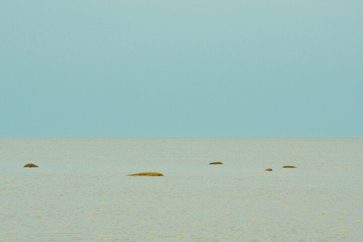 Fotografia,  15,8x23,6 in 