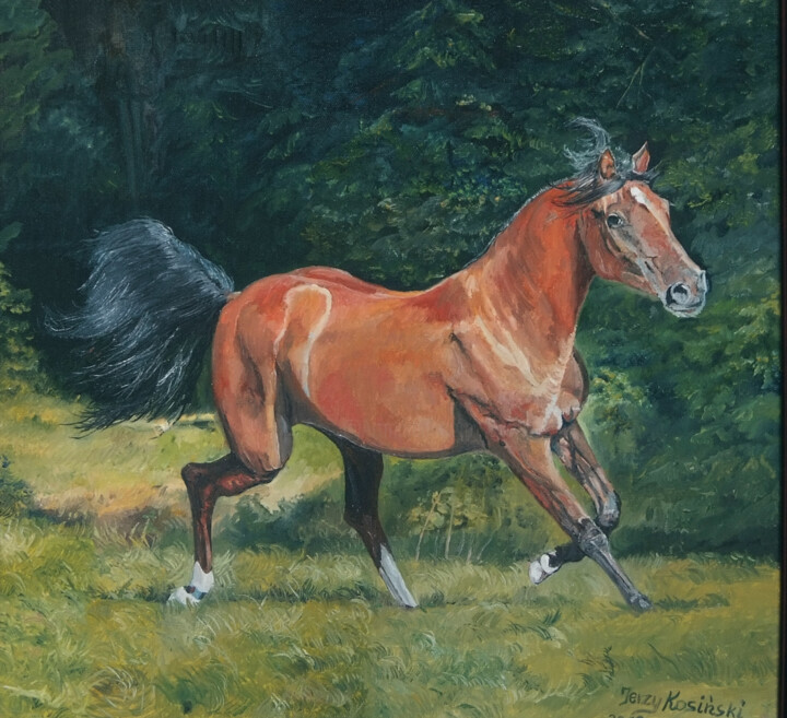 Konik Halka 绘画, 17.7x19.7 in