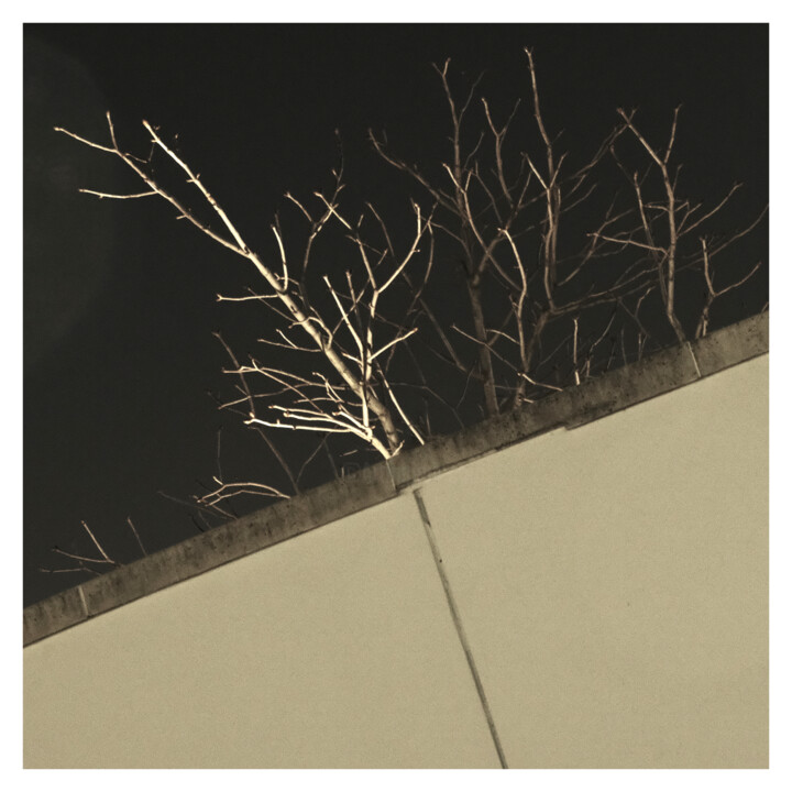 a guardsman's hope 摄影