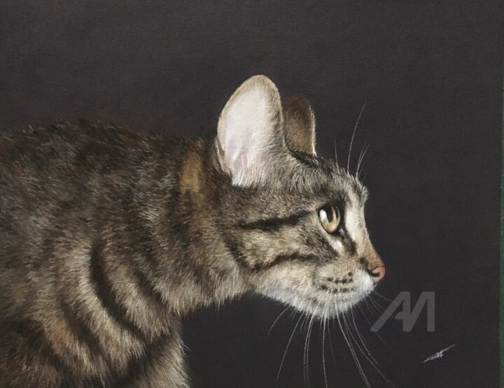 Hunter-cat 图画, 9.1x11.4 in