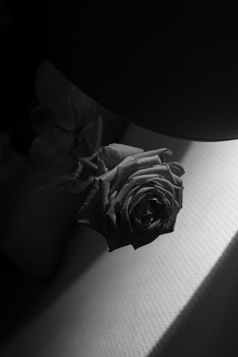 "The game of truth,…" başlıklı Fotoğraf Cyrille Mulot tarafından, Orijinal sanat, Fotoşopsuz fotoğraf