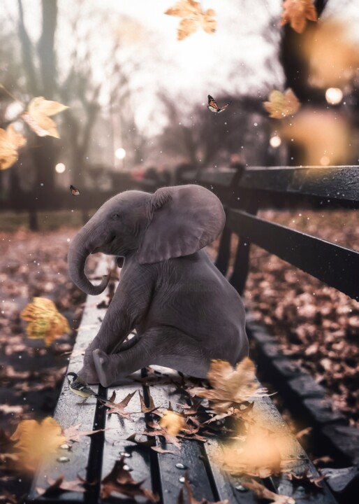 Bébé éléphant assis sur un banc en automne 数字艺术