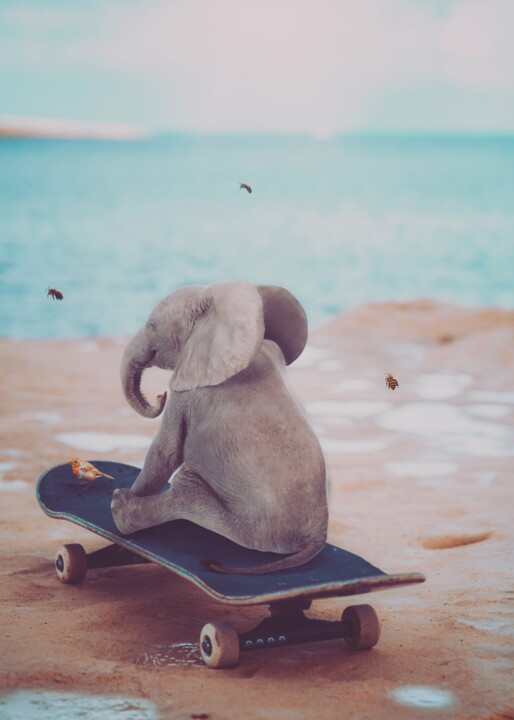 Bébé éléphant sur son skateboard devant la mer bleue 数字艺术