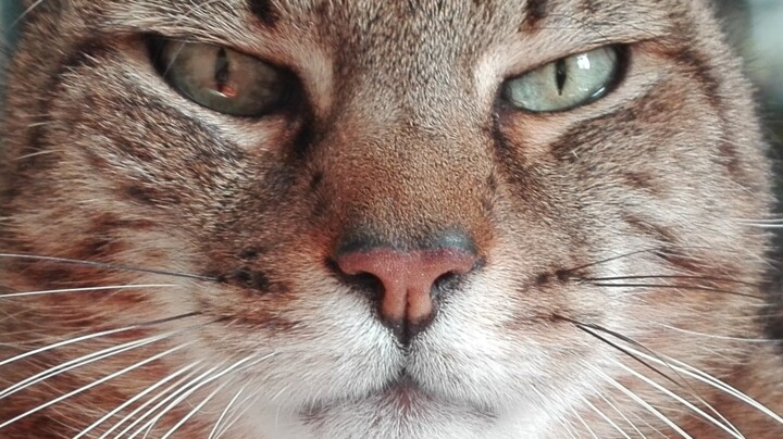 Dans les yeux Fotoğraf