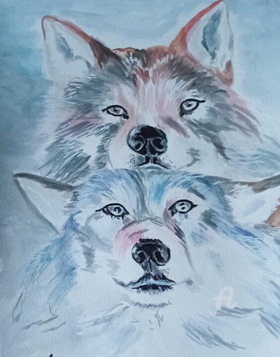 Les huskies 绘画, 16.5x11.7 in