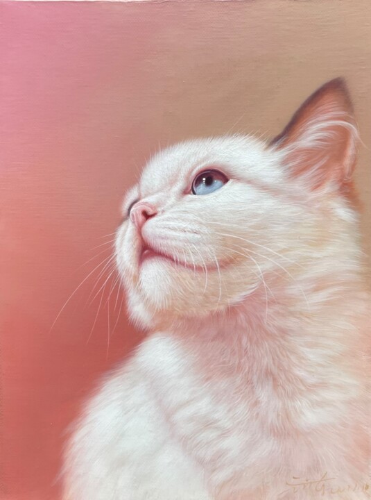 Realistic oil painting cat 绘画, 15.8x11.8 in