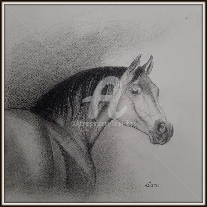 图画,  7.9x7.9 in 