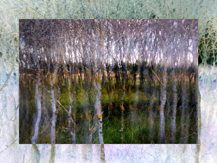 Fotografie mit dem Titel "Waldtraum in Blåvand" von Frank Wichmann (sinnesreiz.art), Original-Kunstwerk, Digitale Fotografie