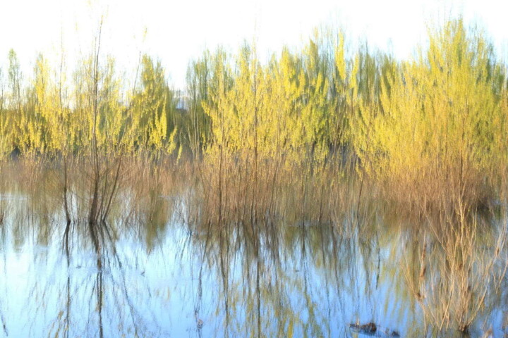 Rives de Loire 2 사진, 11.8x17.7 in