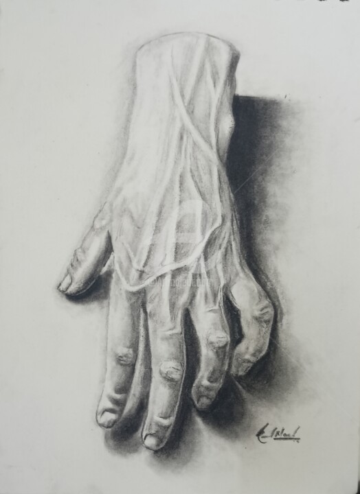 The Hand 图画, 11.4x8.3 in