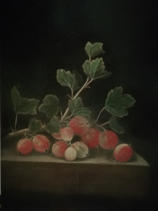 Gooseberry Branch Pittura, 11,8x7,9 in